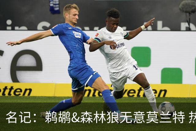 名记：鹈鹕&森林狼无意莫兰特 热火也不急于尝试其与字母哥的搭档