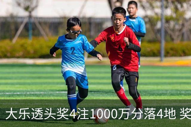 大乐透头奖4注1000万分落4地 奖池余额8.04亿元