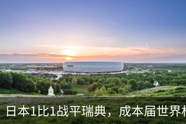 日本1比1战平瑞典，成本届世界杯首支出线的亚洲球队，下场将对阵巴西