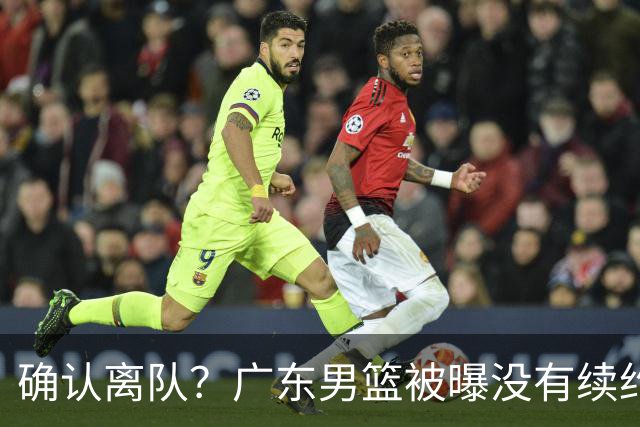 确认离队？广东男篮被曝没有续约杜锋，新主教练人选正式曝光！