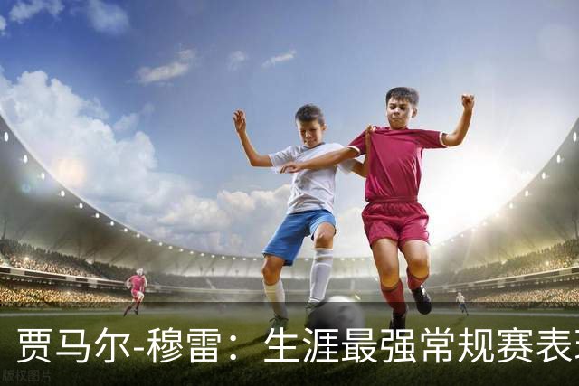 贾马尔-穆雷：生涯最强常规赛表现（球员赛季分析）常规赛篇